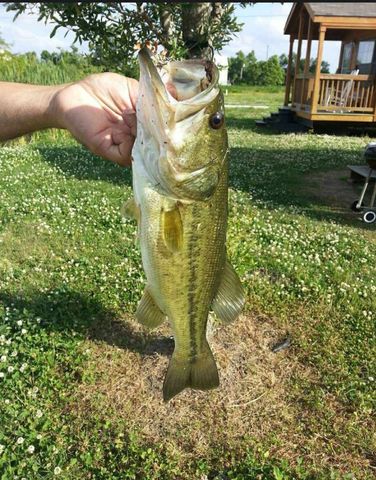 18076 Highway 3235, Galliano, LA 70354