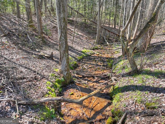 3693 Boardtown Road, Ellijay, GA 30540