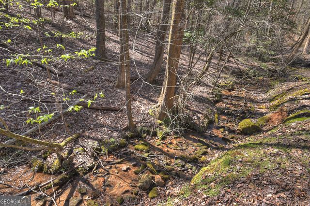 3693 Boardtown Road, Ellijay, GA 30540