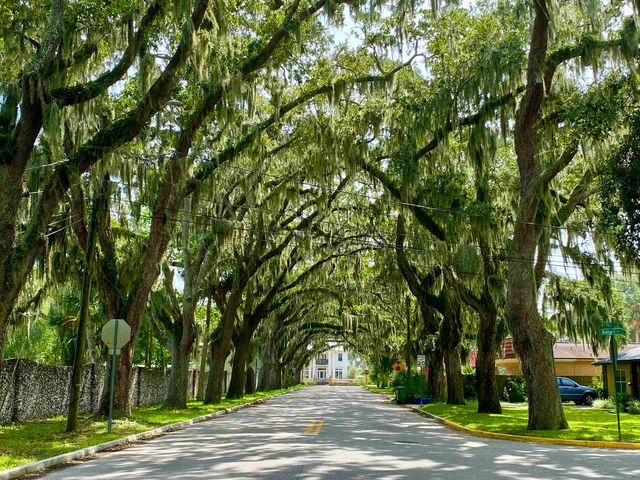 229 Pelican Reef Dr., St Augustine, FL 32080