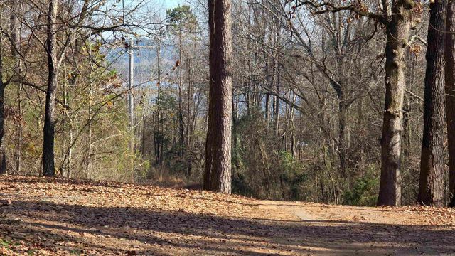 10516 Wildcat Hollow Rd Road, Dardanelle, AR 72834