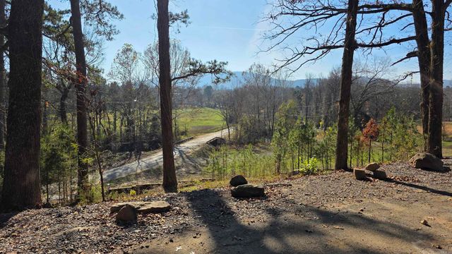 10516 Wildcat Hollow Rd Road, Dardanelle, AR 72834