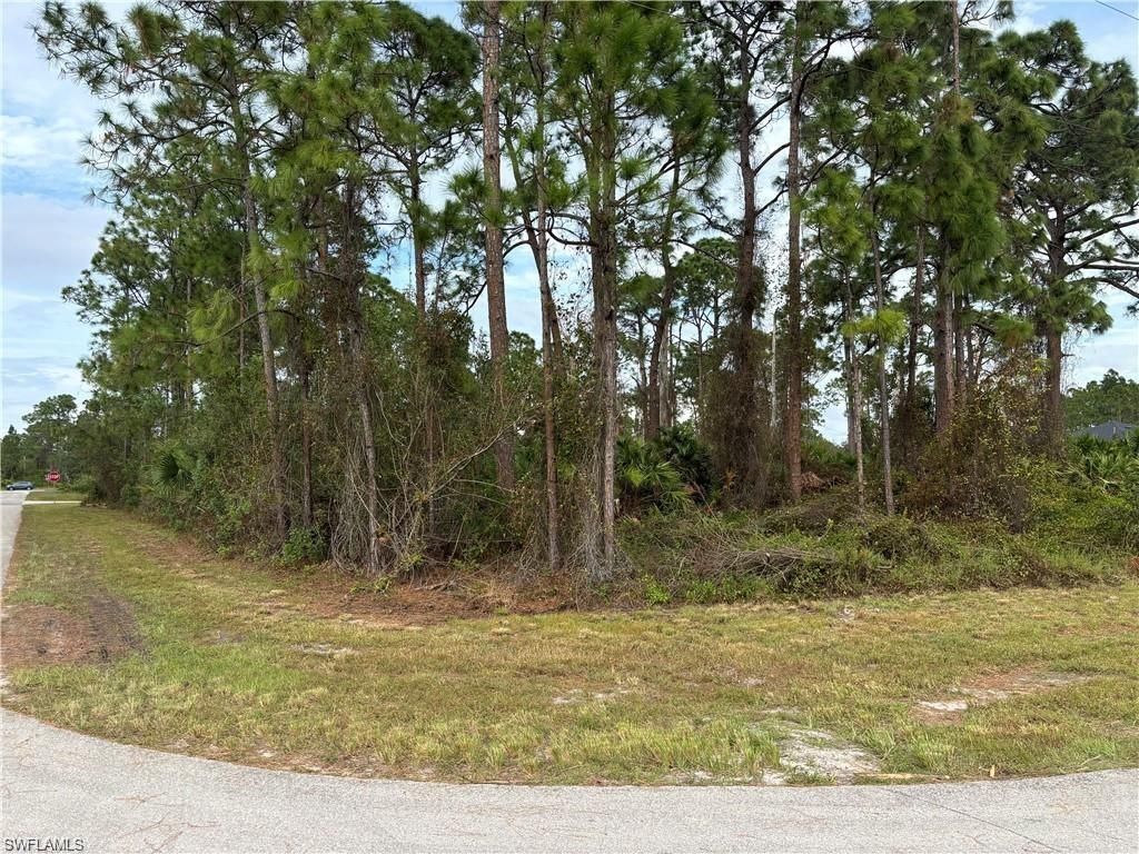 925 Barton ST E, LEHIGH ACRES, FL 33974 — photo 2
