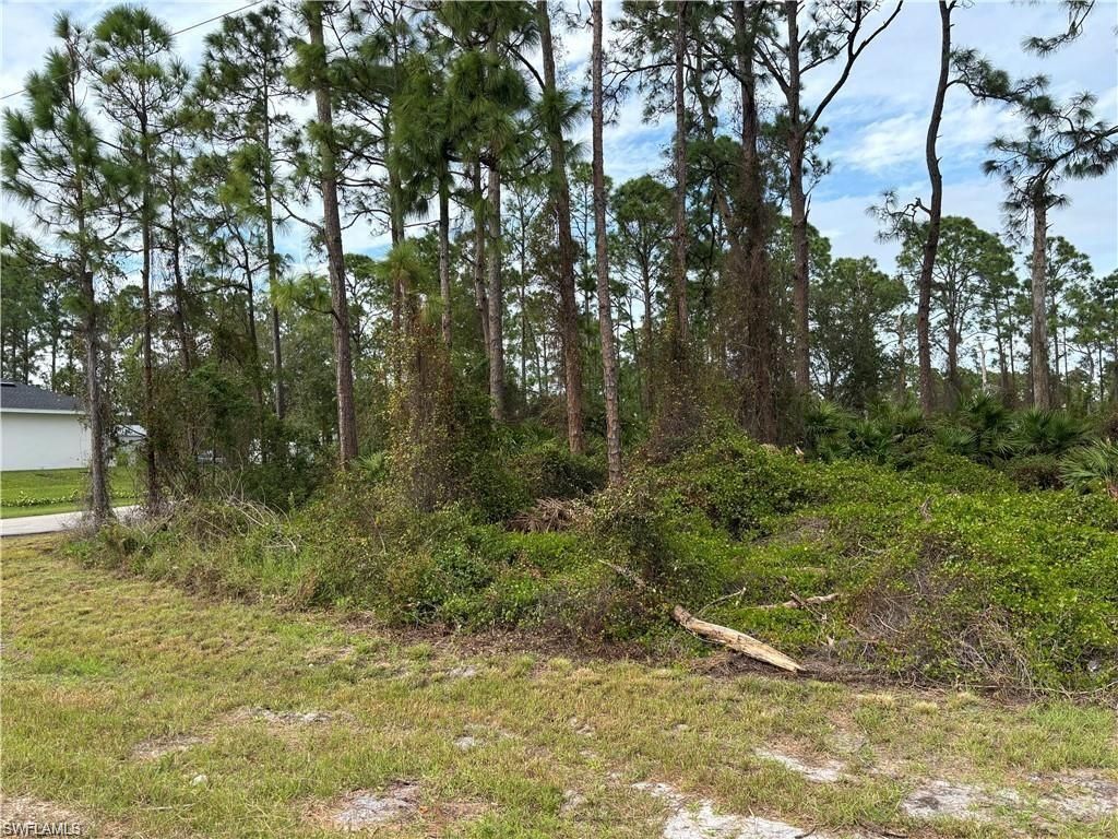 925 Barton ST E, LEHIGH ACRES, FL 33974 — photo 3