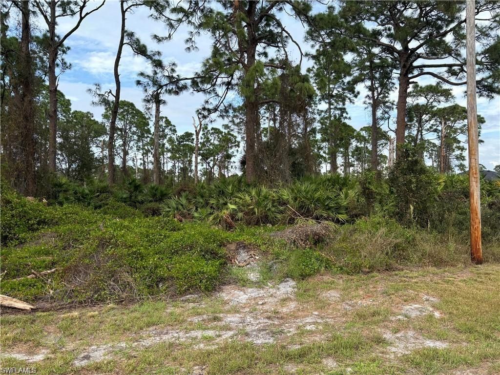 925 Barton ST E, LEHIGH ACRES, FL 33974 — photo 4