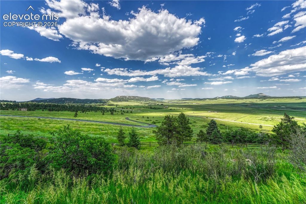 15533 S Perry Park Road, Larkspur, CO 80118 — photo 5