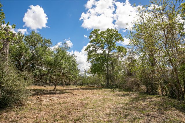 10 Acres Cr 320, Brazoria, TX 77833