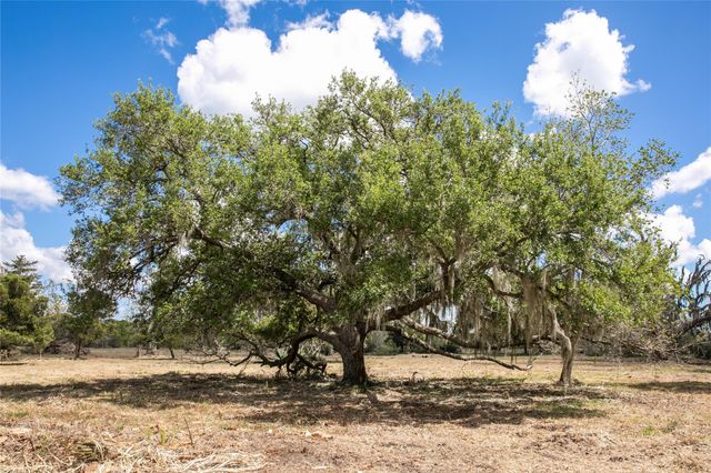 10 Acres Cr 320, Brazoria, TX 77833