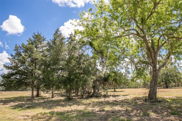 10 Acres Cr 320, Brazoria, TX 77833