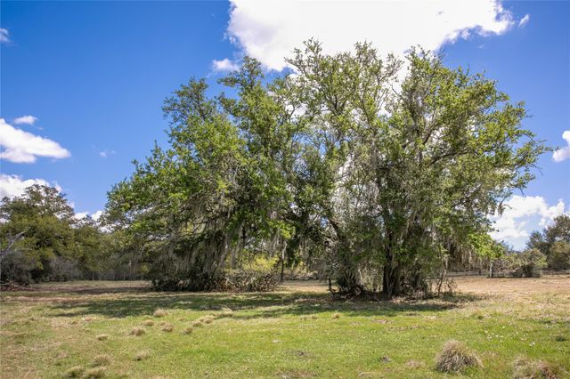 10 Acres Cr 320, Brazoria, TX 77833