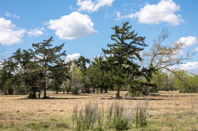 10 Acres Cr 320, Brazoria, TX 77833