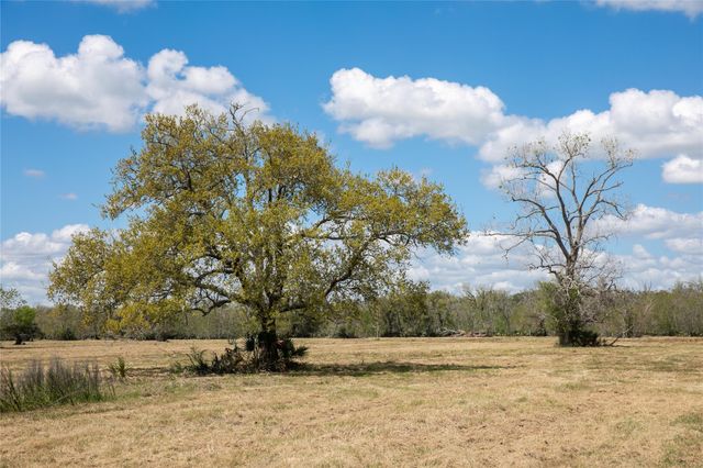 10 Acres Cr 320, Brazoria, TX 77833