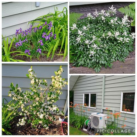 1908 LaSalle Street, Eau Claire, WI 54703