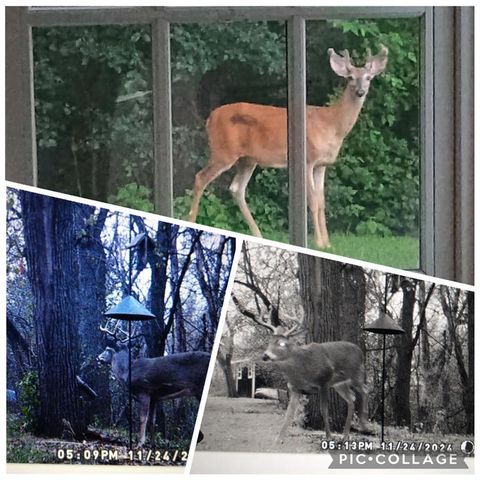 1908 LaSalle Street, Eau Claire, WI 54703