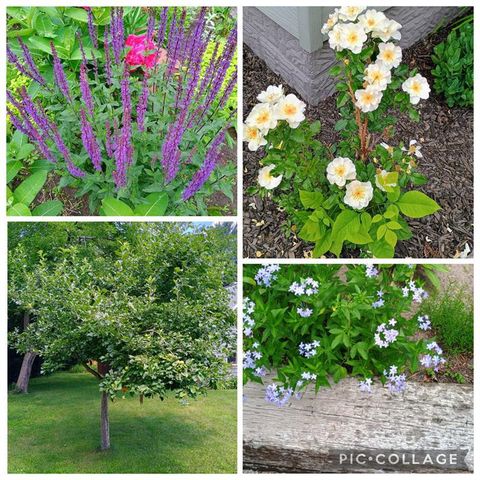 1908 LaSalle Street, Eau Claire, WI 54703