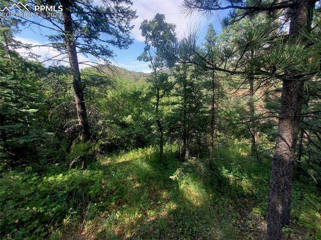 Ute Road, Cascade, CO 80809