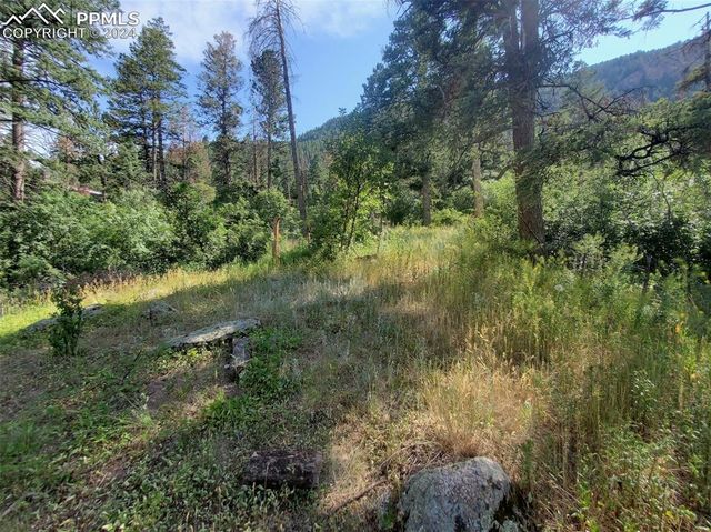 Ute Road, Cascade, CO 80809