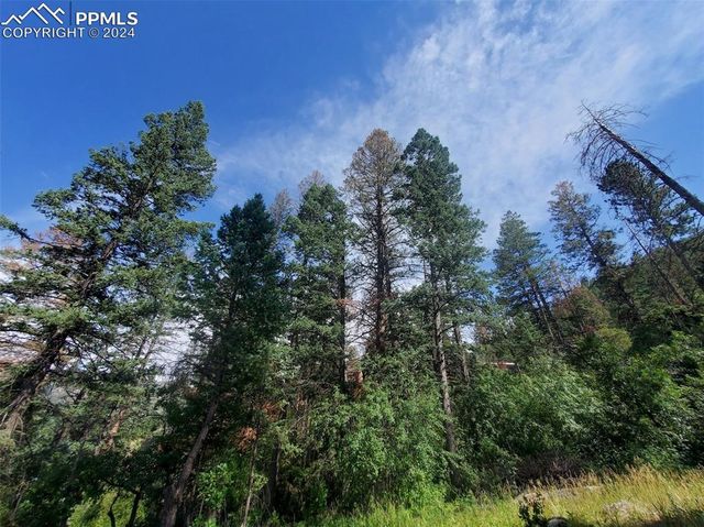 Ute Road, Cascade, CO 80809