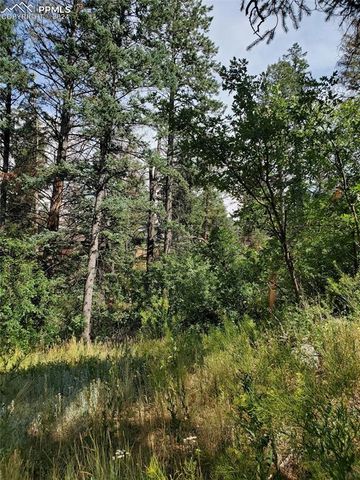 Ute Road, Cascade, CO 80809