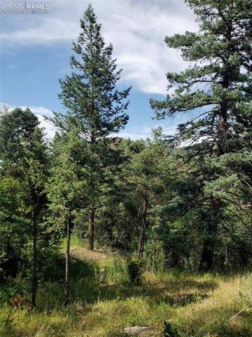 Ute Road, Cascade, CO 80809