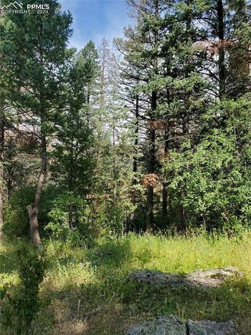 Ute Road, Cascade, CO 80809