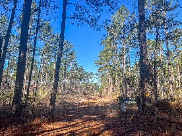 12 Highway 287, Pennington, TX 75845