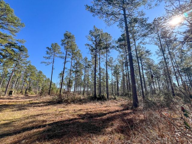 12 Highway 287, Pennington, TX 75845