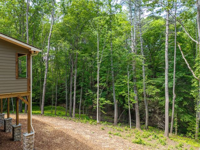 121 Orbit Lane, Ellijay, GA 30540