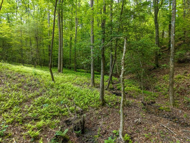 121 Orbit Lane, Ellijay, GA 30540