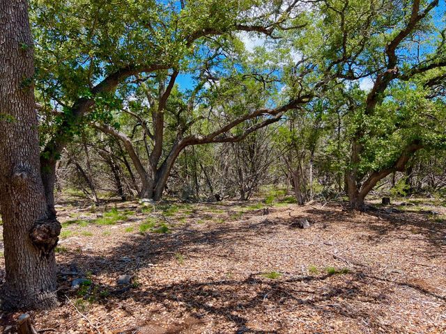 TBD Forest View DR 1, Blanco, TX 78606