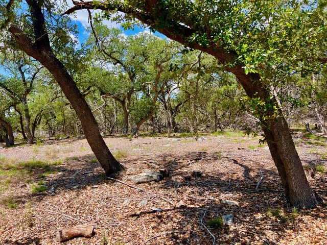 TBD Forest View DR 1, Blanco, TX 78606