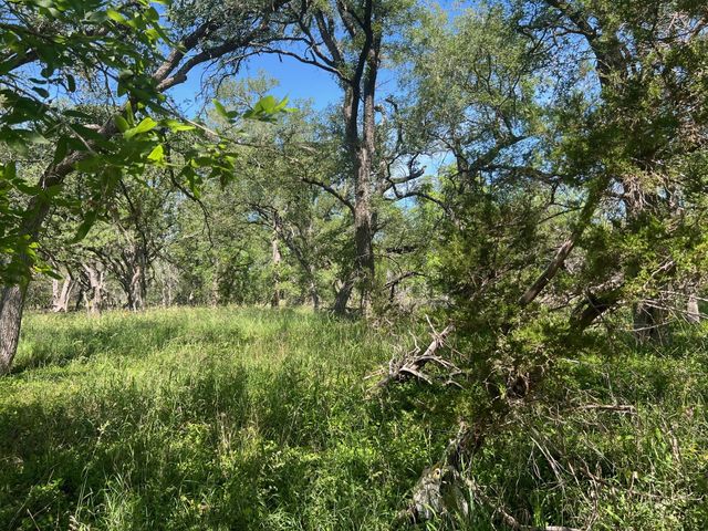 TBD Forest View DR 1, Blanco, TX 78606