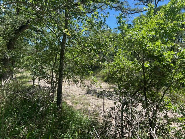 TBD Forest View DR 1, Blanco, TX 78606
