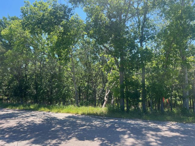 TBD Forest View DR 1, Blanco, TX 78606