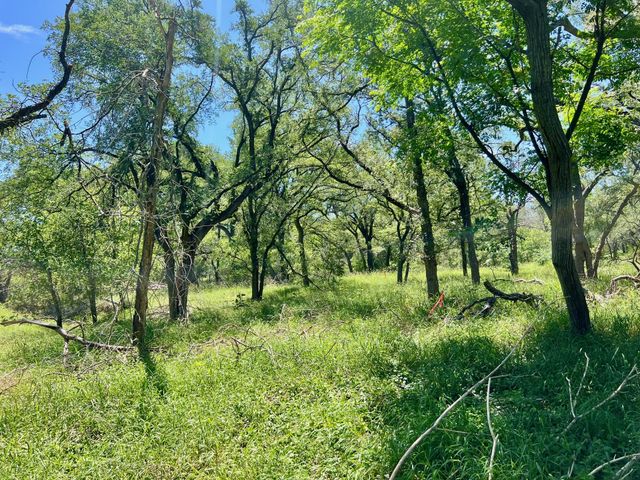 TBD Forest View DR 1, Blanco, TX 78606