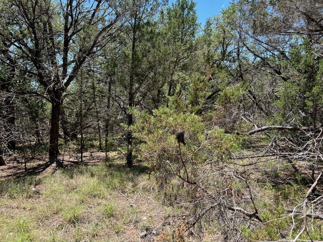 TBD Forest View DR 1, Blanco, TX 78606