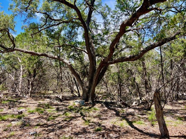 TBD Forest View DR 1, Blanco, TX 78606
