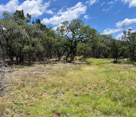 TBD Forest View DR 1, Blanco, TX 78606