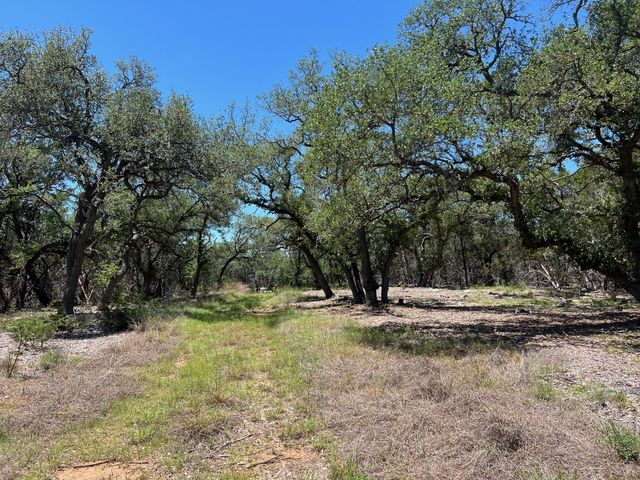 TBD Forest View DR 1, Blanco, TX 78606