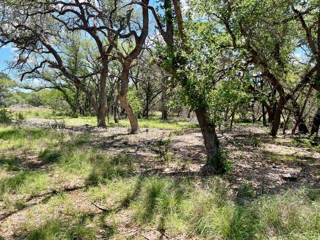 TBD Forest View DR 1, Blanco, TX 78606