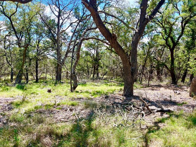 TBD Forest View DR 1, Blanco, TX 78606