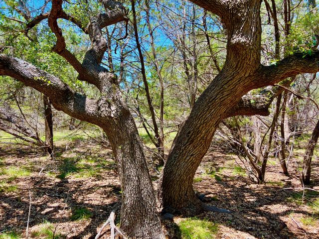TBD Forest View DR 1, Blanco, TX 78606