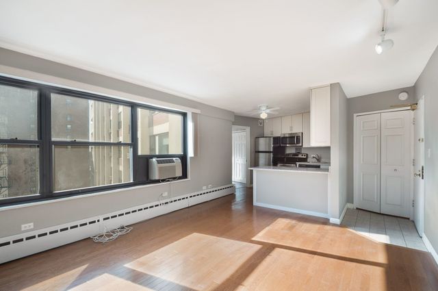 3410 N Lake Shore Drive 11G, Chicago, IL 60657