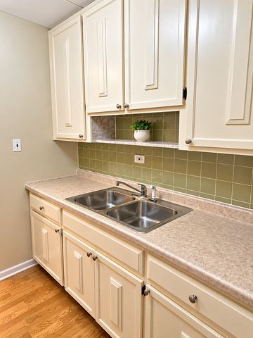 16 E Old Willow Road 304S, Prospect Heights, IL 60070