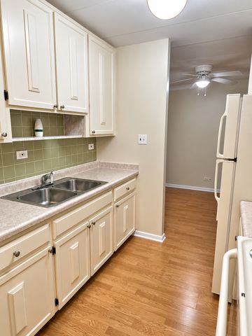 16 E Old Willow Road 304S, Prospect Heights, IL 60070