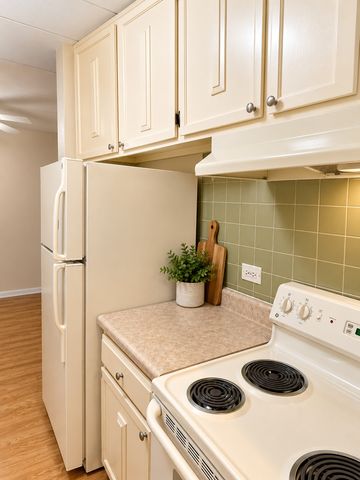16 E Old Willow Road 304S, Prospect Heights, IL 60070