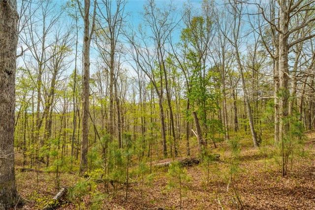 3467 Carver Mill Road, Talking Rock, GA 30175