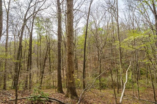 3467 Carver Mill Road, Talking Rock, GA 30175