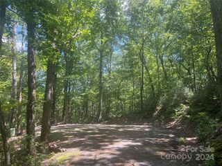 0 Mintwood Court 11, Lake Lure, NC 28746
