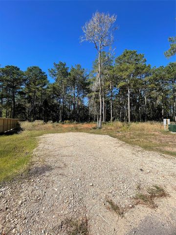 11303 Annie Creek Drive, Willis, TX 77378